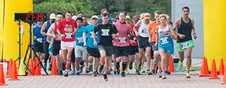 Gator Gallop 2016 短吻鳄疾驰2016