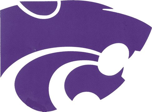 Angleton High School Wildcat Logo