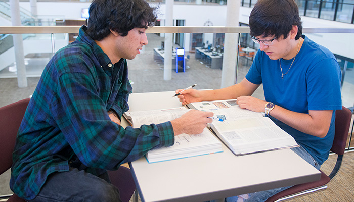 学生在图书馆学习