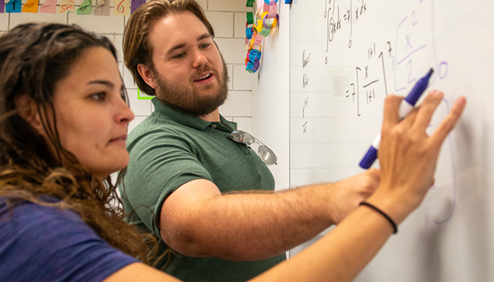 教程审查数学中心问题