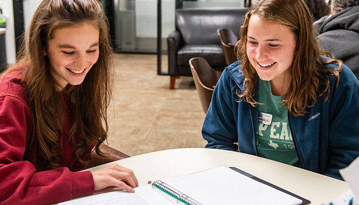 学生在写作中心共事