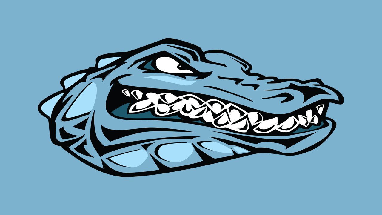 Brazosport学院鳄鱼灵3缩放背景