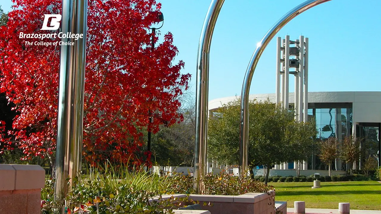 Brazosport学院红枫放大背景