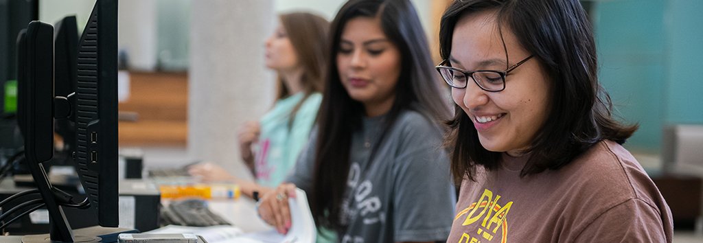 Students in the Library